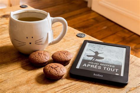 10 BookFi Alternatives for Free eBooks and Audiobooks .